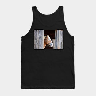 "Beauty in the Barn" Tank Top